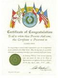 High School-Diploma